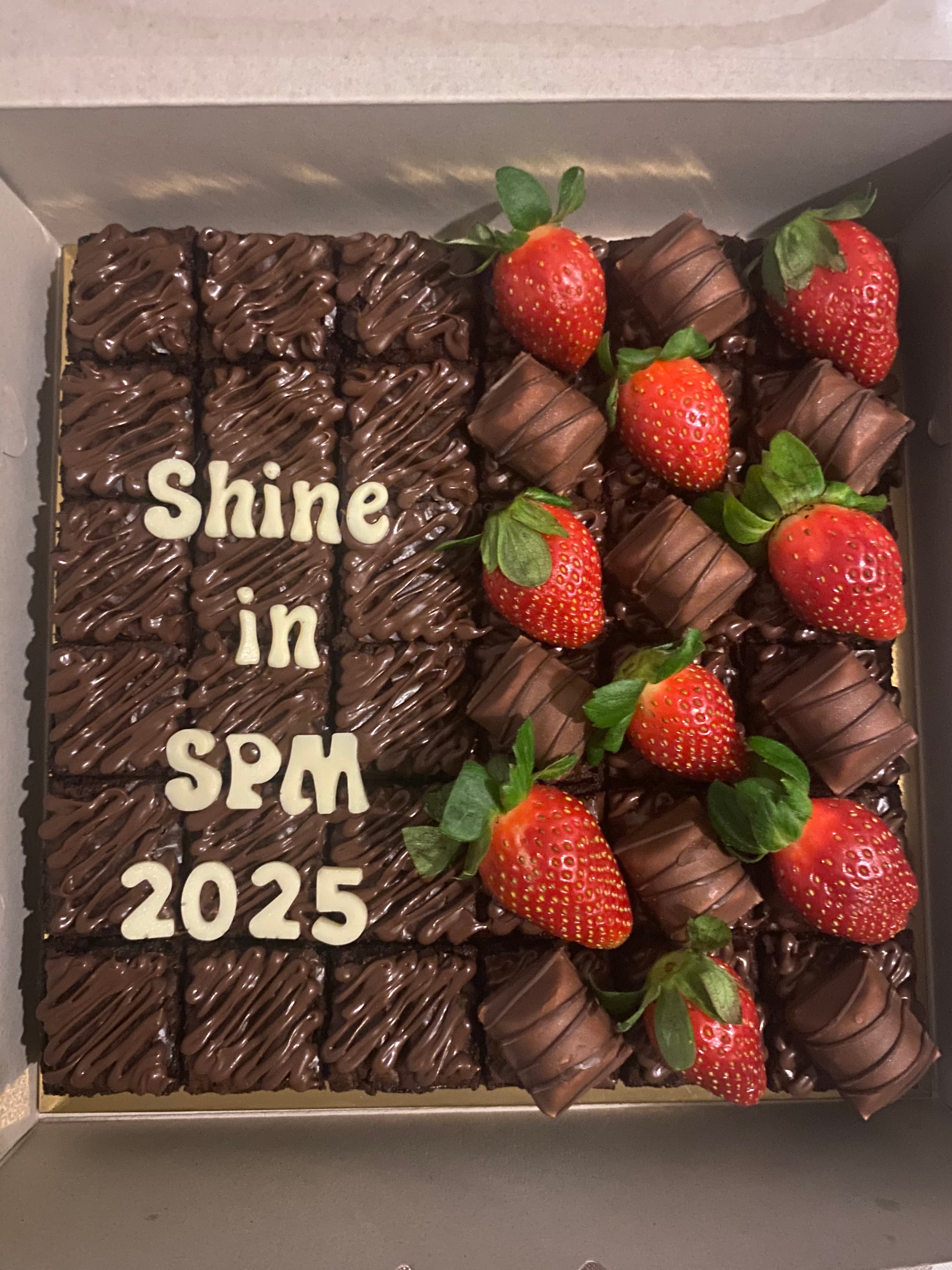 Brownies Deco 8 inch